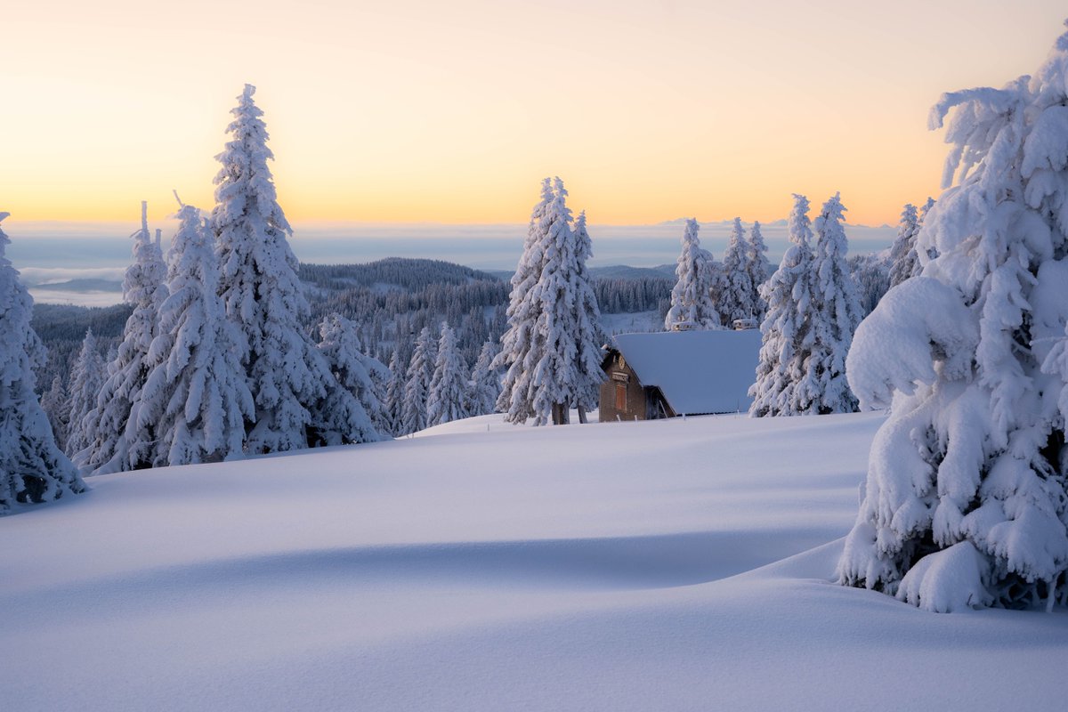 WetterOnline's tweet photo. Winterzauber im Südschwarzwald vom 28.11.2025!
Auf dem Feldberg zeigt sich der Morgen von seiner schönsten Seite: Tief verschneite Tannen, eine glitzernde Schneedecke und warmes Licht, das die Landschaft in Pastellfarben taucht.
📷 Niklas Reichenauer
#feldberg #sonnenaufgang https://t.co/IyXioGeJx0