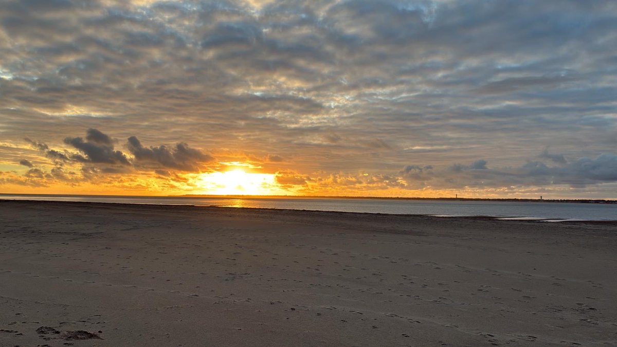 Philippe Larroque tweet media