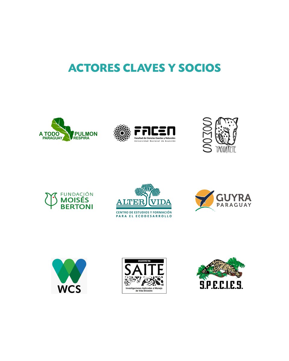 WWFpy's tweet image. ¡Día Nacional del Jaguareté! 🐆󰐪

Hoy celebramos a una especie clave y reafirmamos nuestro compromiso con la conservación de su hábitat, la educación ambiental y la coexistencia. Este esfuerzo lo desarrollamos junto con actores clave y socios que trabajan por su protección.