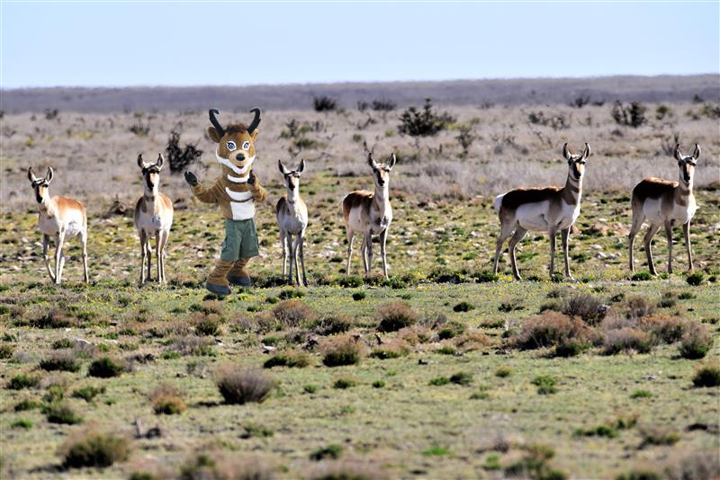 Happy Find Seymour Friday!
 
Like everyone, Seymour is spending this week with his family. 
Expect he didn't eat turkey. 
Because that would be weird.