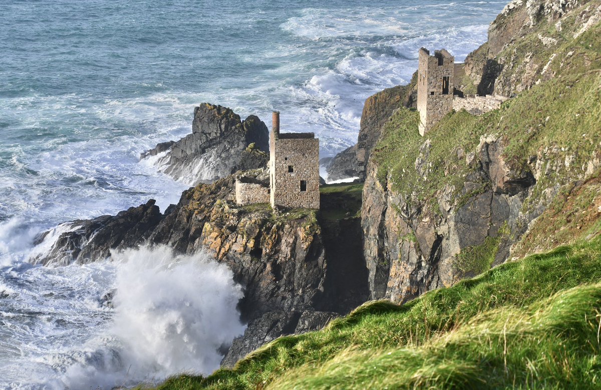 Amy Savage tweet media