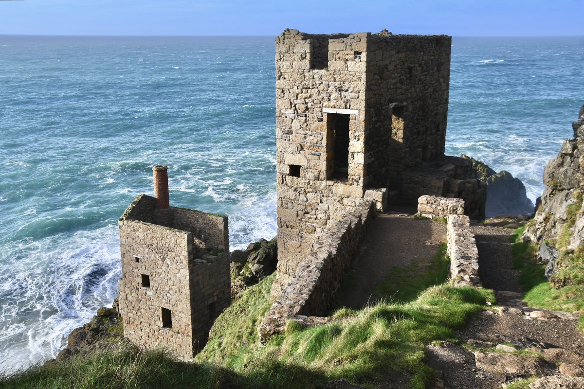 Amy Savage tweet media