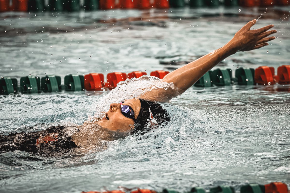 Paul K Owens tweet media