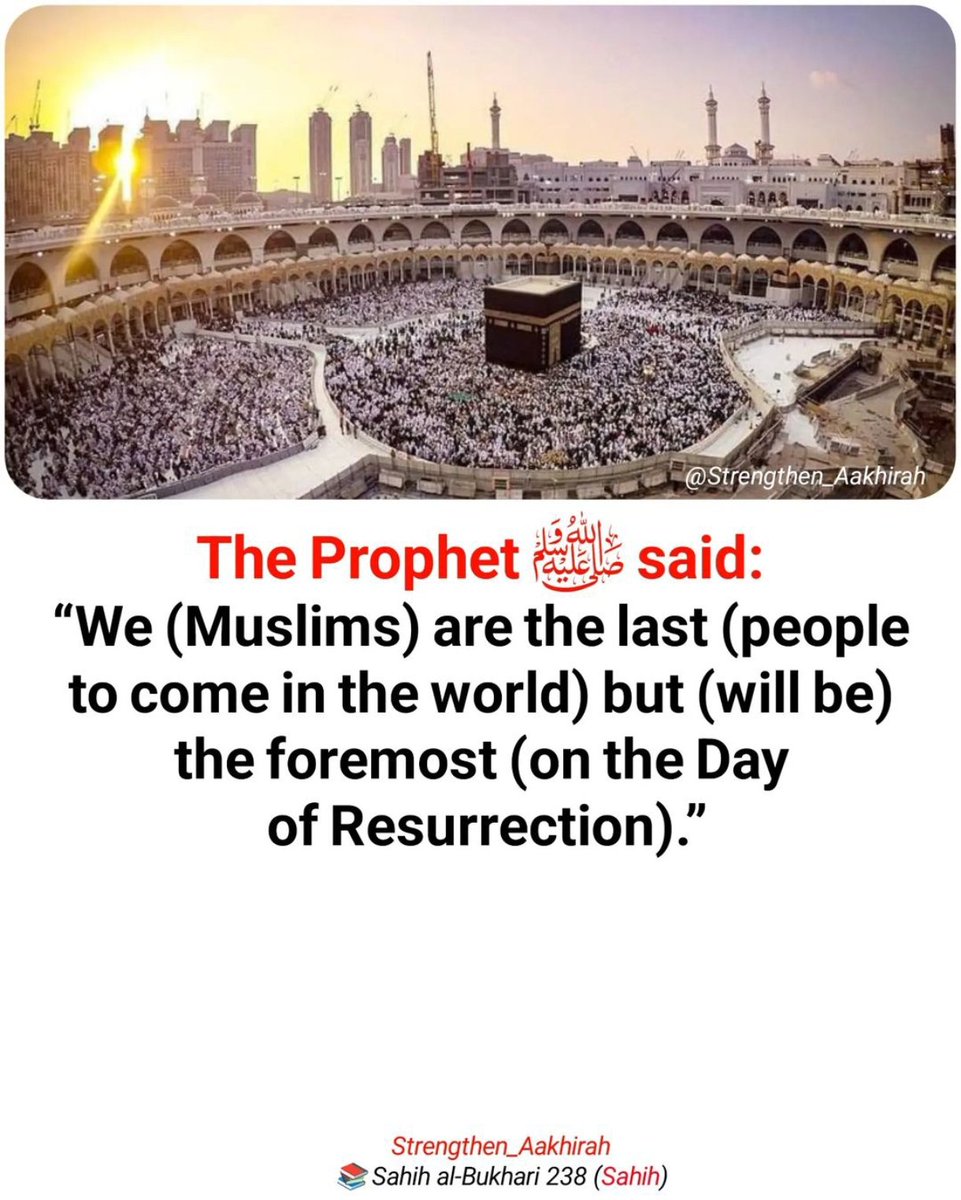 Dailyremindrs_'s tweet image. The Prophet (ﷺ) said: