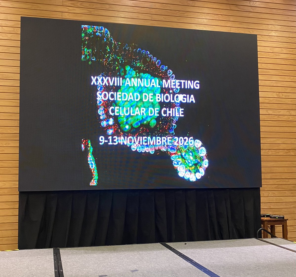 Sociedad de Biología Celular de Chile (SBCCh) tweet media