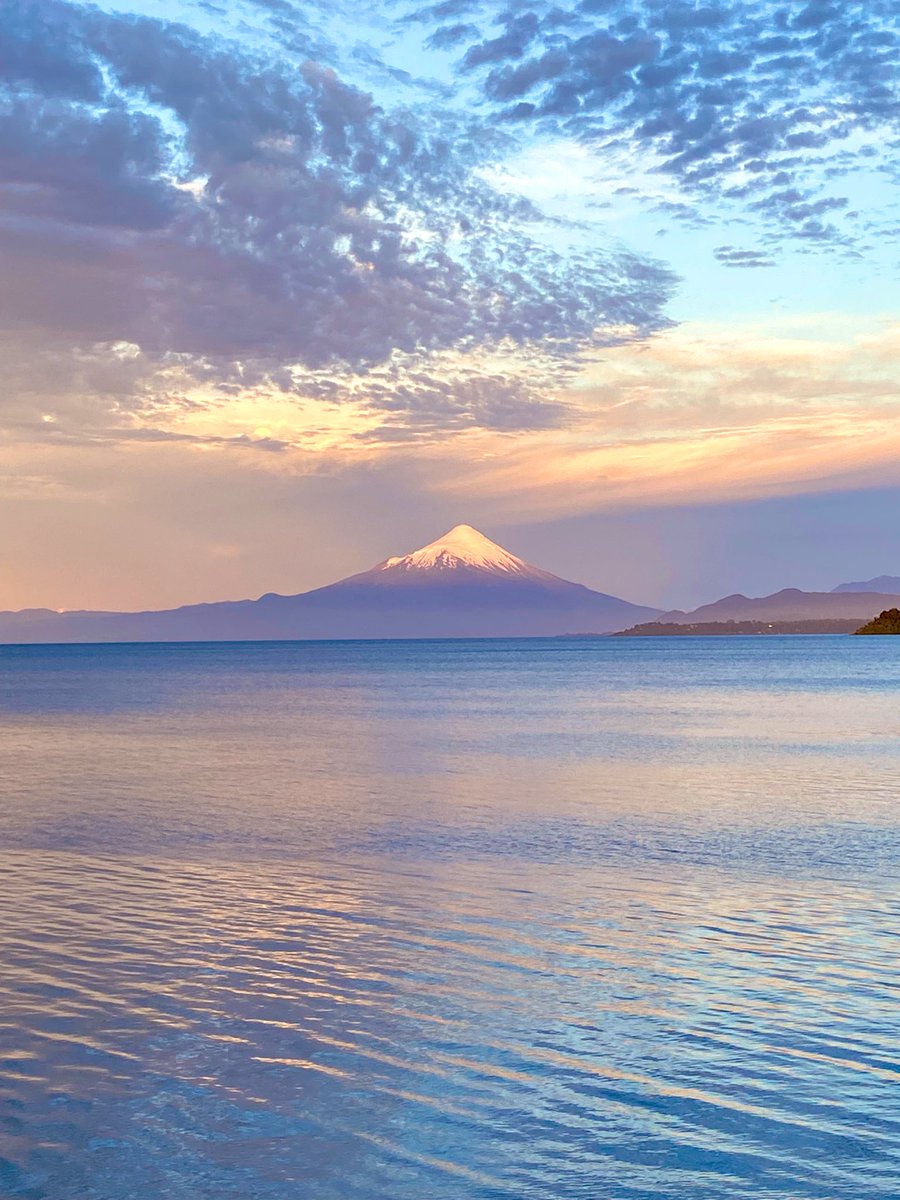 Sociedad de Biología Celular de Chile (SBCCh) tweet media