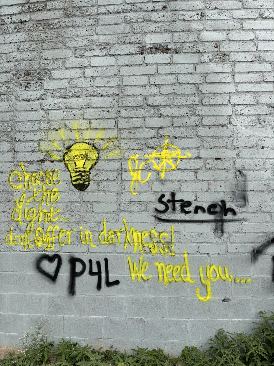 Stephanie Federico tweet media