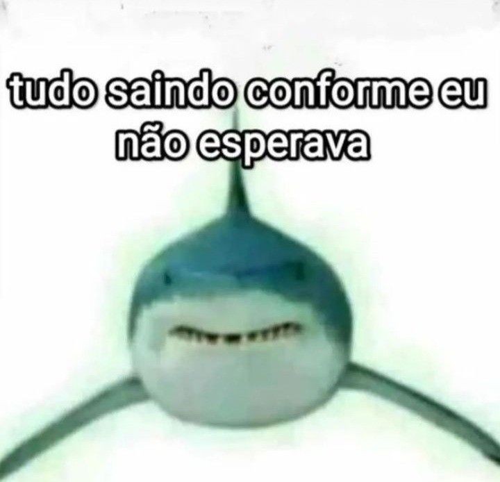 Torpedo Russo tweet media