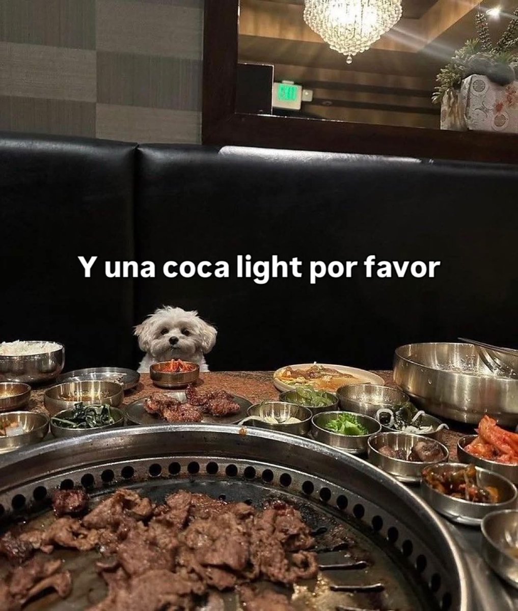 Animalesaprieto's tweet photo. https://t.co/cGaiY6Ol8m