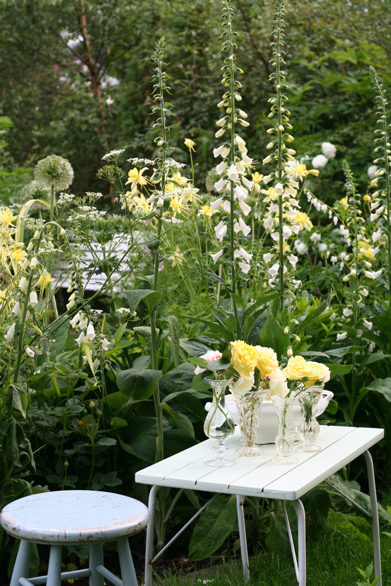 Botanichka's tweet image. Оригинально, изысканно, свежо — благоухающие сады в нежных лимонных оттенках 🍋🌿

#ландшафтный_дизайн