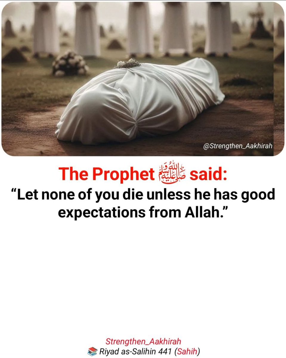 Dailyremindrs_'s tweet image. The Prophet (ﷺ) said: