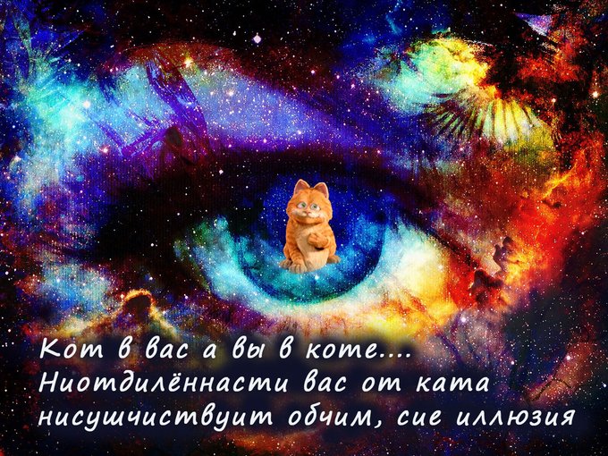 <a href="/katMotja/">Кот Мотя</a> Спасибо, родной и самый лучий Котус!💖💖💖🐱