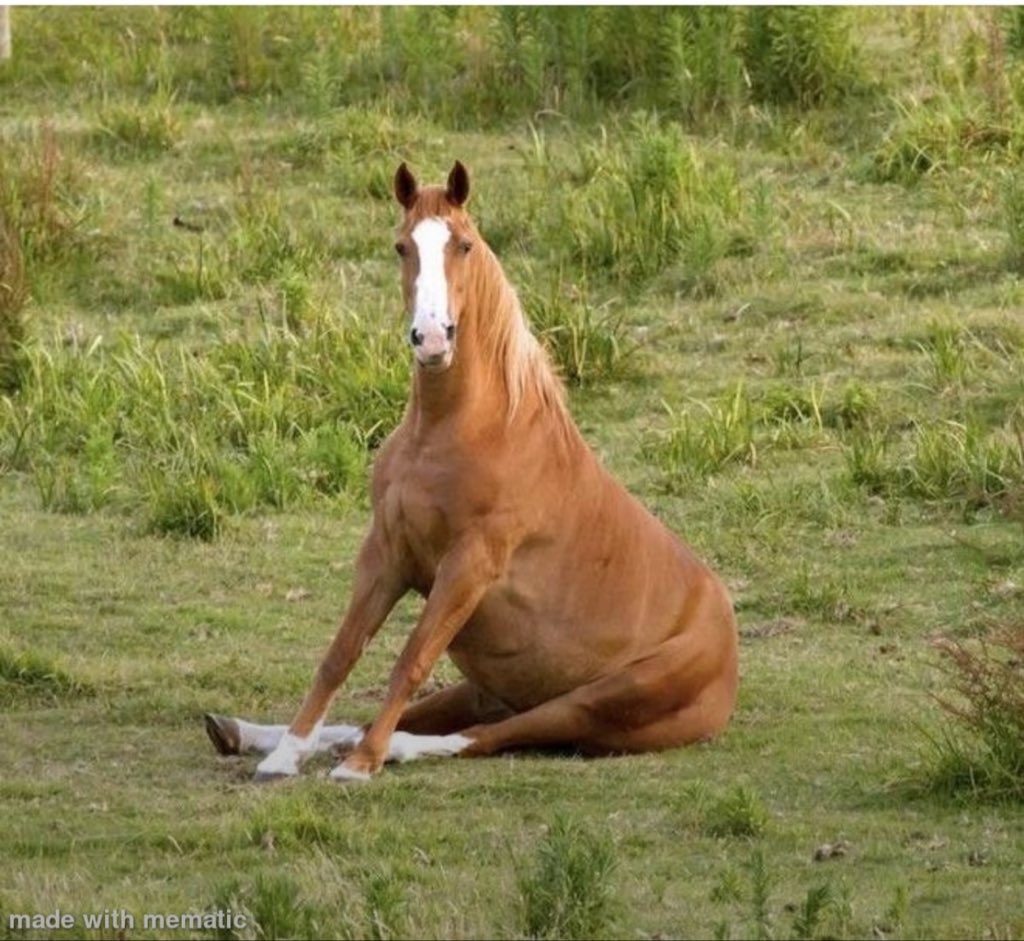 <a href="/mellometrics/">Mello</a> Whats price again ? 

Explain like I’m extremely retarded because I am. 

I’m high on ket I don’t care the price