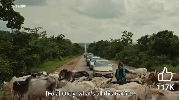 Tope_Orus's tweet image. For everyone traveling this December, please be careful. If you see cows on the road trying to block your path, do not stop. It could be a trap. Stay alert and stay safe.

#SecurityTips
