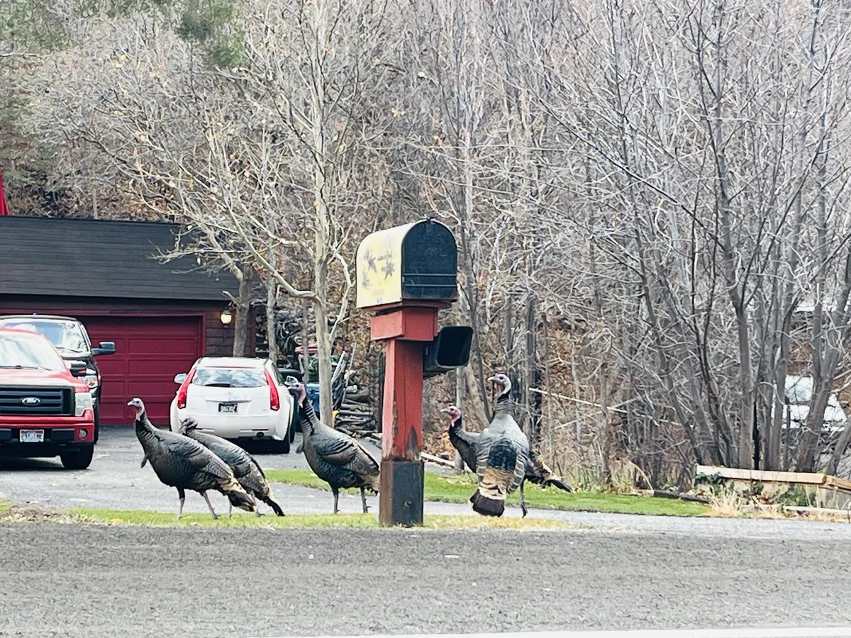 Не всех съели вчера. Neighborhood