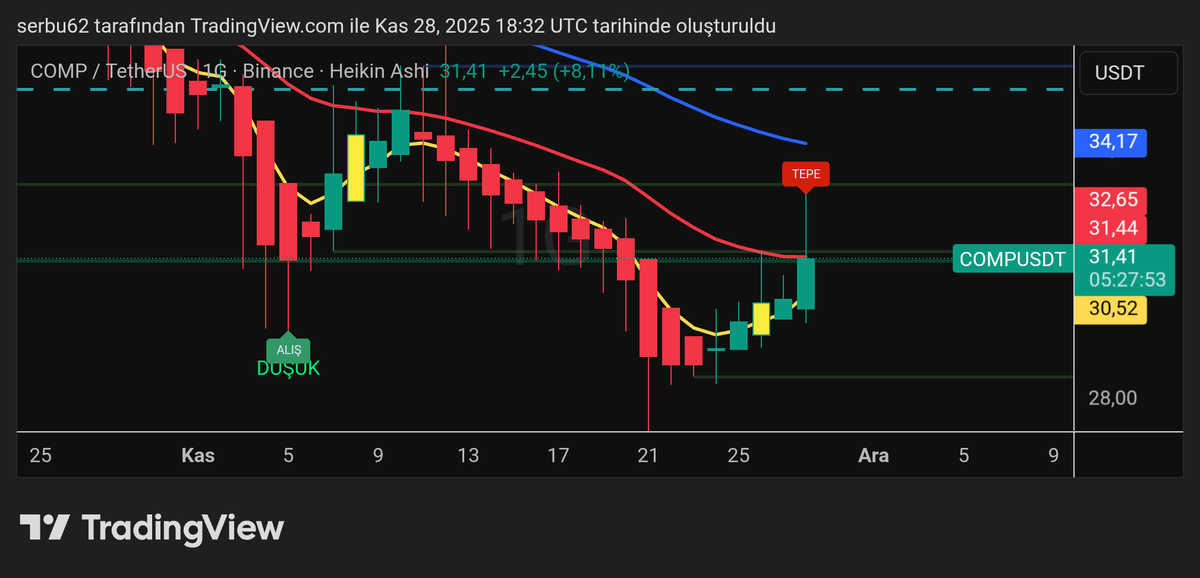 TraderOzo's tweet image. #compusdt %8