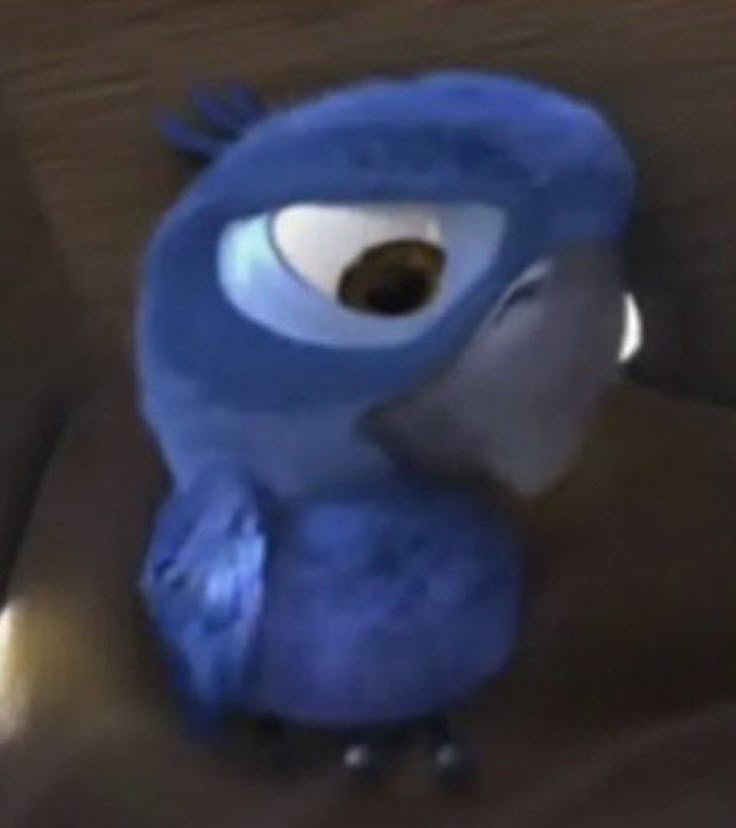 So I can't do any pull ups let alone one ...