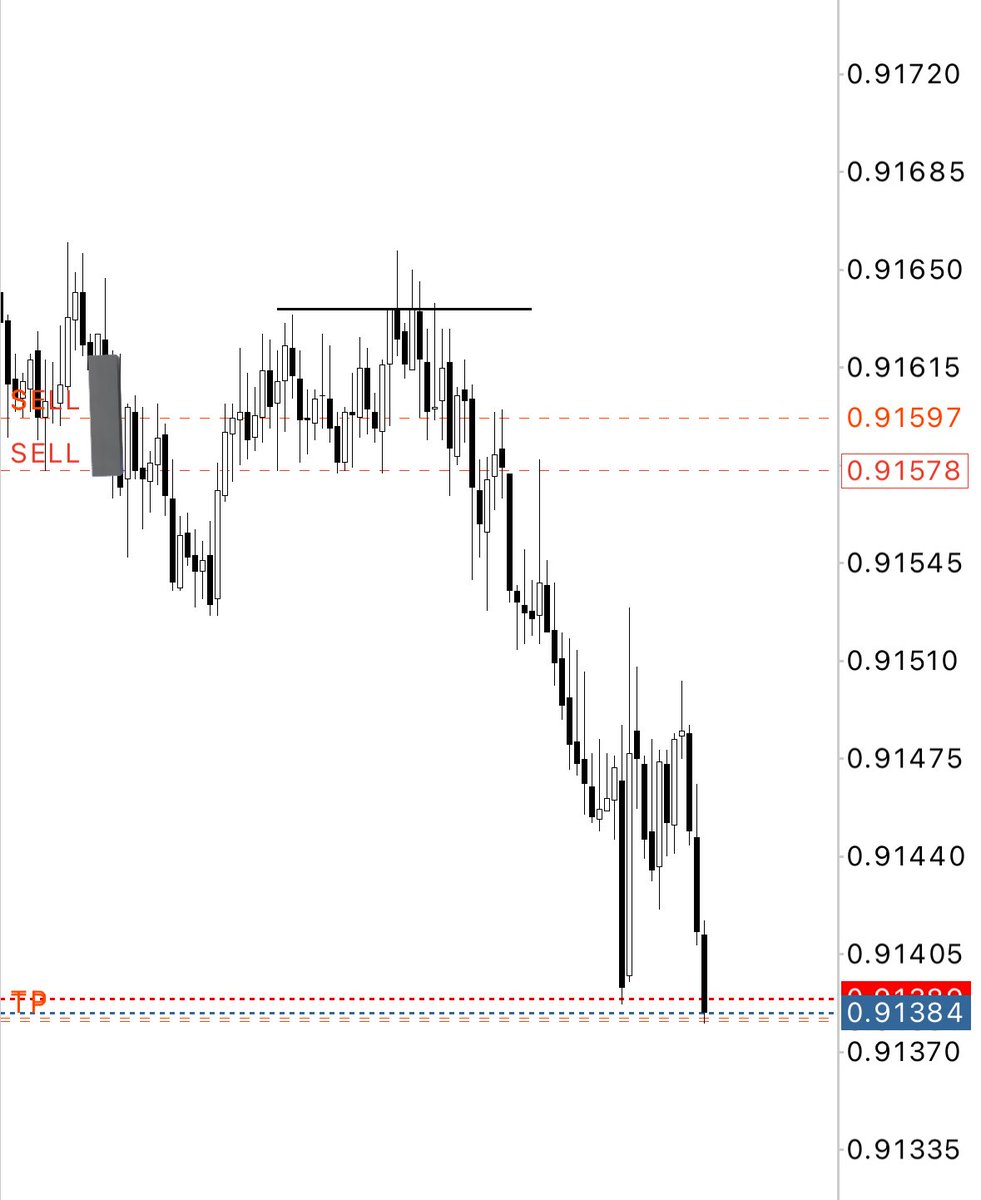 DESTINY𓃵 tweet media