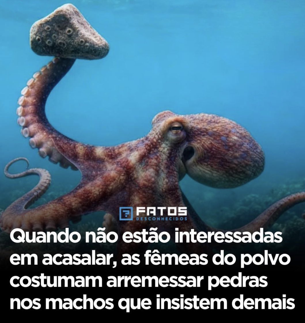 mellromao's tweet image. Gostei, dá pra tacar 8 pedras de uma vez 😅😂