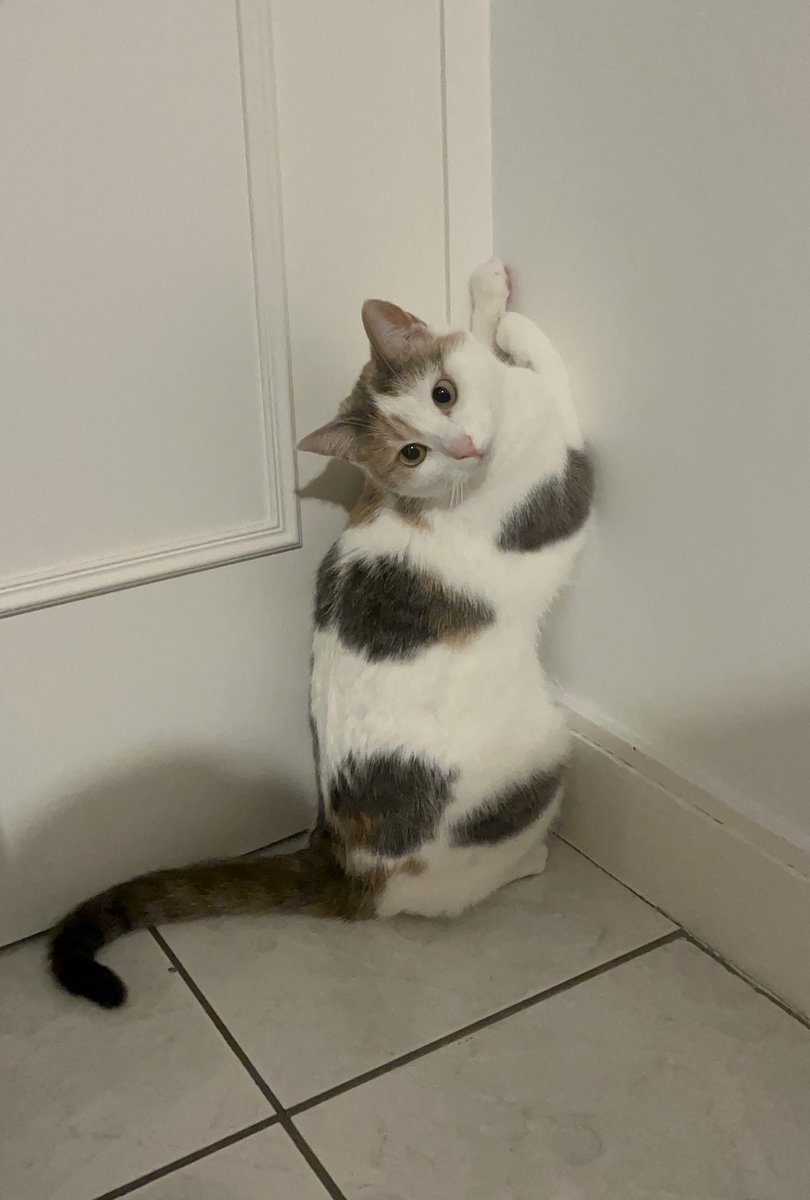 bah pourquoi tu es au coin toupette ? 😢😢