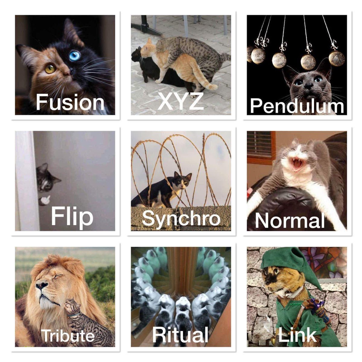 April Button (@aprilshowerszzz) on Twitter photo 