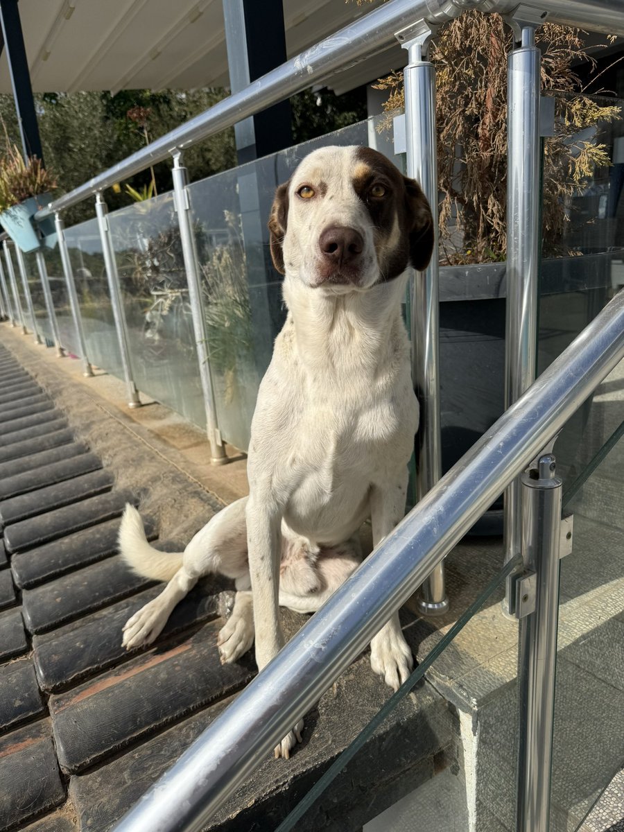 yuppi.sui tweet media