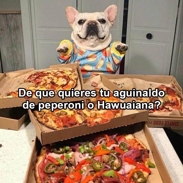 El Guarromántico tweet media