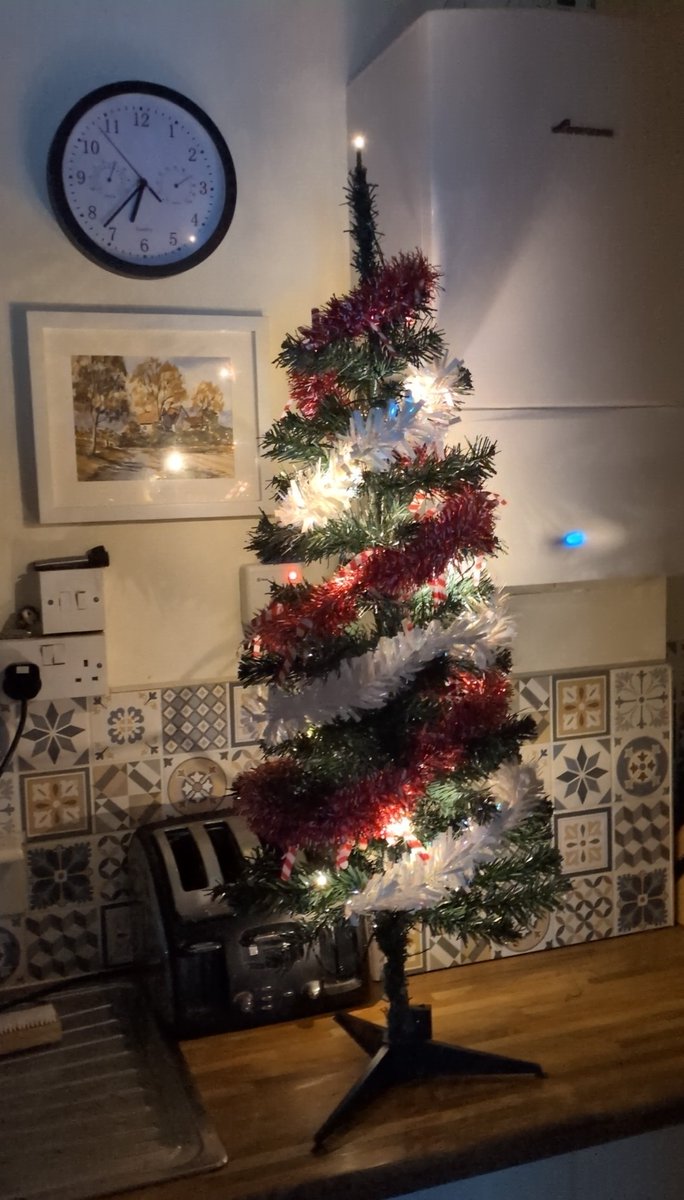Rogan's tweet image. Tree and lights 12. Tinsel 2.50

Attempt 3

#Christmas #tree #Decoration