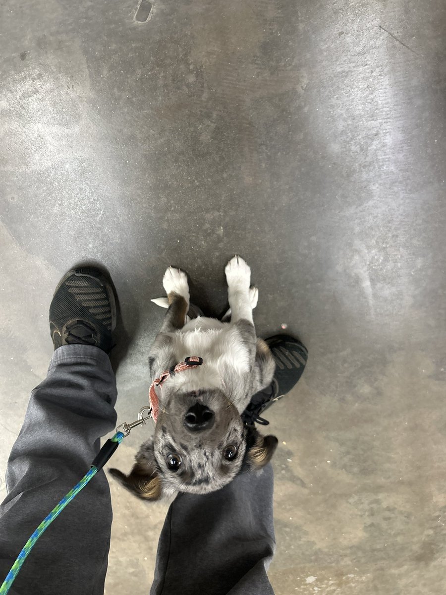 Stay𝕏 tweet media