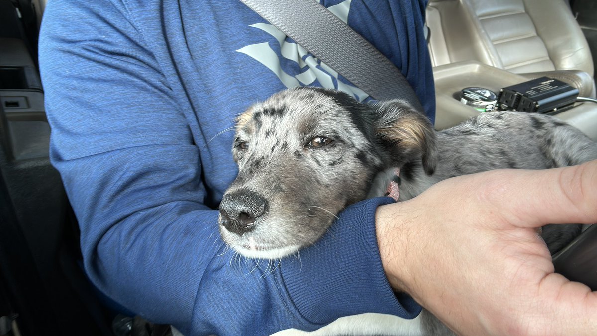 Stay𝕏 tweet media