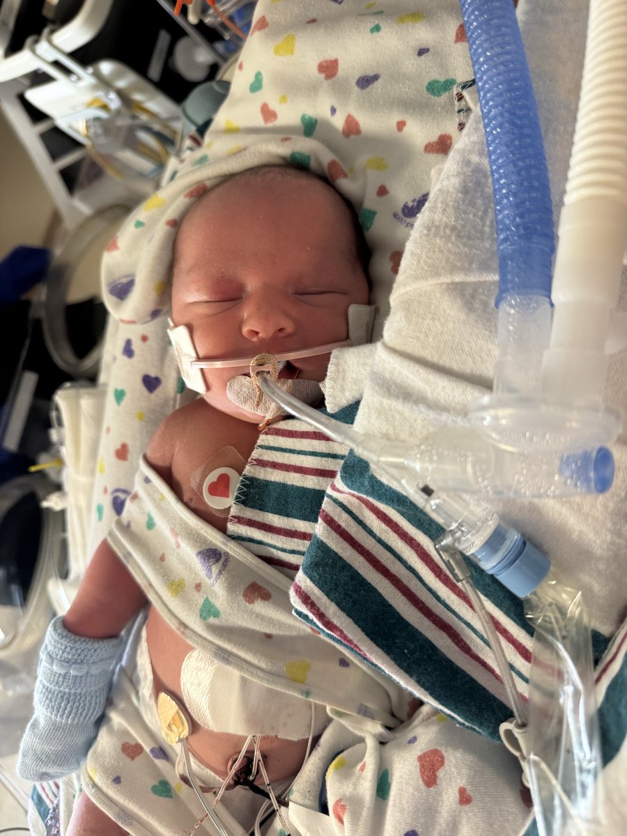 BarrelHatchet's tweet image. Hey guys. My nephew was born 3 days ago. He is in intensive care right now and struggling to breathe. He is on oxygen, my sister in law is being sent home without him, which is also extremely hard for them. Please pray for my nephew and in laws. That he will be healed and they…