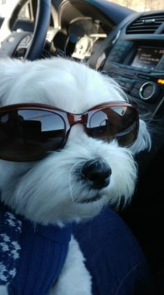 HII GUYSSS TYSM FOR WATCHING!!! (that vod is byeLMAO)

TYSM FOR THE COLLAB RAID MY HOMIES MY EVERYTHINGS MY BROS B4 HOES <a href="/ImKhaifer/">Khaifer🐹🧪🌭 YAOI EXPO X19/20 Dec 20</a> CONGRATS ON 5k!! <a href="/pneumo_ndrs/">ndrs</a> AN AMAZING VOICE ACTOR SINGER AND <a href="/makoccentric/">mako 🦈✨ | ASTRAL SHARK PRINCE</a> OUR YAOI KING !!

WE ALSO RAIDED THE SINGING DIVA <a href="/auri_vt/">𝓐𝓾𝓻𝓲🌴🌊| CUZN</a> 
SHOWTHEM<3