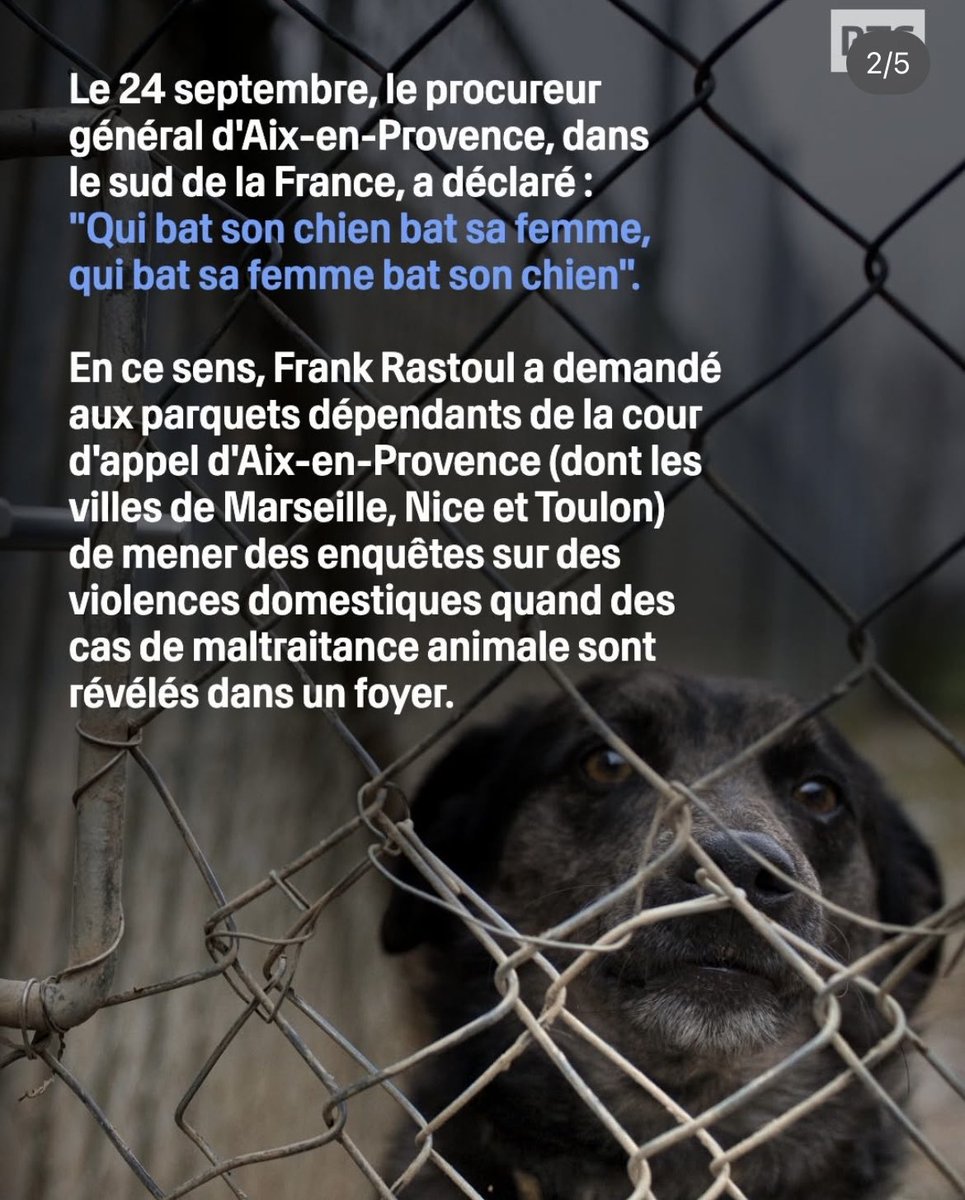 la_justiciere_'s tweet image. Je salue les #propos et l’investissement du #Procureur Général près de la Cour d’appel d’ #Aixenprovence Franck Rastoul à propos de la #maltraitance #animale qui révèle très souvent des #violences intra #familiales . 1 homme plein de sagesse. C’est la #Justice que l’on aime ❤️