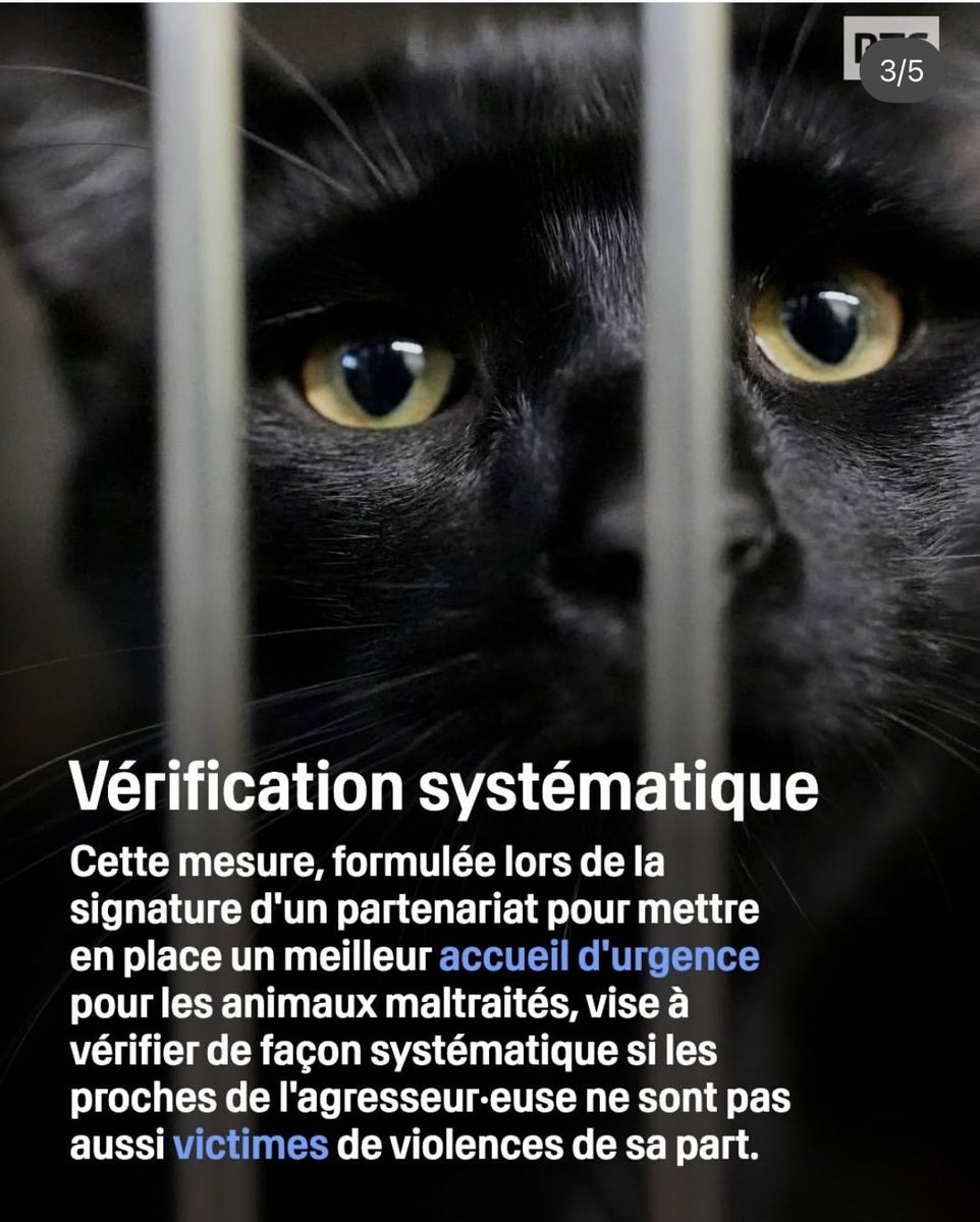 la_justiciere_'s tweet image. Je salue les #propos et l’investissement du #Procureur Général près de la Cour d’appel d’ #Aixenprovence Franck Rastoul à propos de la #maltraitance #animale qui révèle très souvent des #violences intra #familiales . 1 homme plein de sagesse. C’est la #Justice que l’on aime ❤️