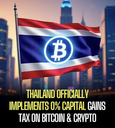 CryptoNews tweet media