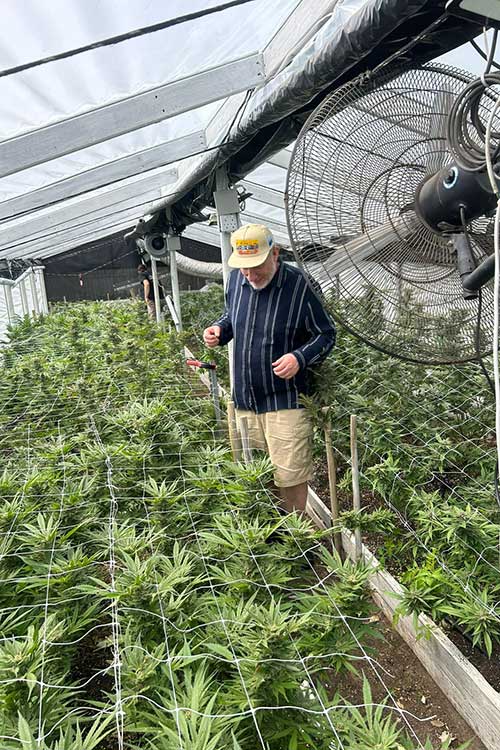 CannabisUrlaub's tweet image. Australien trifft Kapstadt 🌍🔥
Jason erlebt mit unserem Guide Kuda einen Tag voller Wein, Cannabis &amp;amp; echter Vibes – genau das, wofür Cannabisurlaub steht.
Pure Energie. Pure Verbindung. Pure Freiheit.
➡️ Mehr Erlebnisse: cannabisurlaub.com/reisen/news/42…
#cannabisurlaub #kapstadt