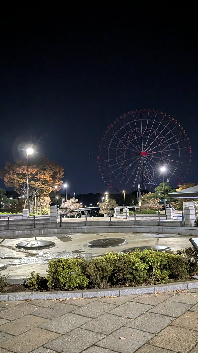 土曜日  おはようございます🌅
休日散歩…継続は力なり☺️✌️
12月がスグそこに！早いな〜
早朝は寒さが身に染みる〜💦
天気は晴れの予報☀️
素敵な１日をお過ごし下さい
#葛西臨海公園
こんな時代に生まれついたよ
だけど何とか進んでって
だから何とかここに立って
僕達は今日を送ってる
Wow yeah,
wow