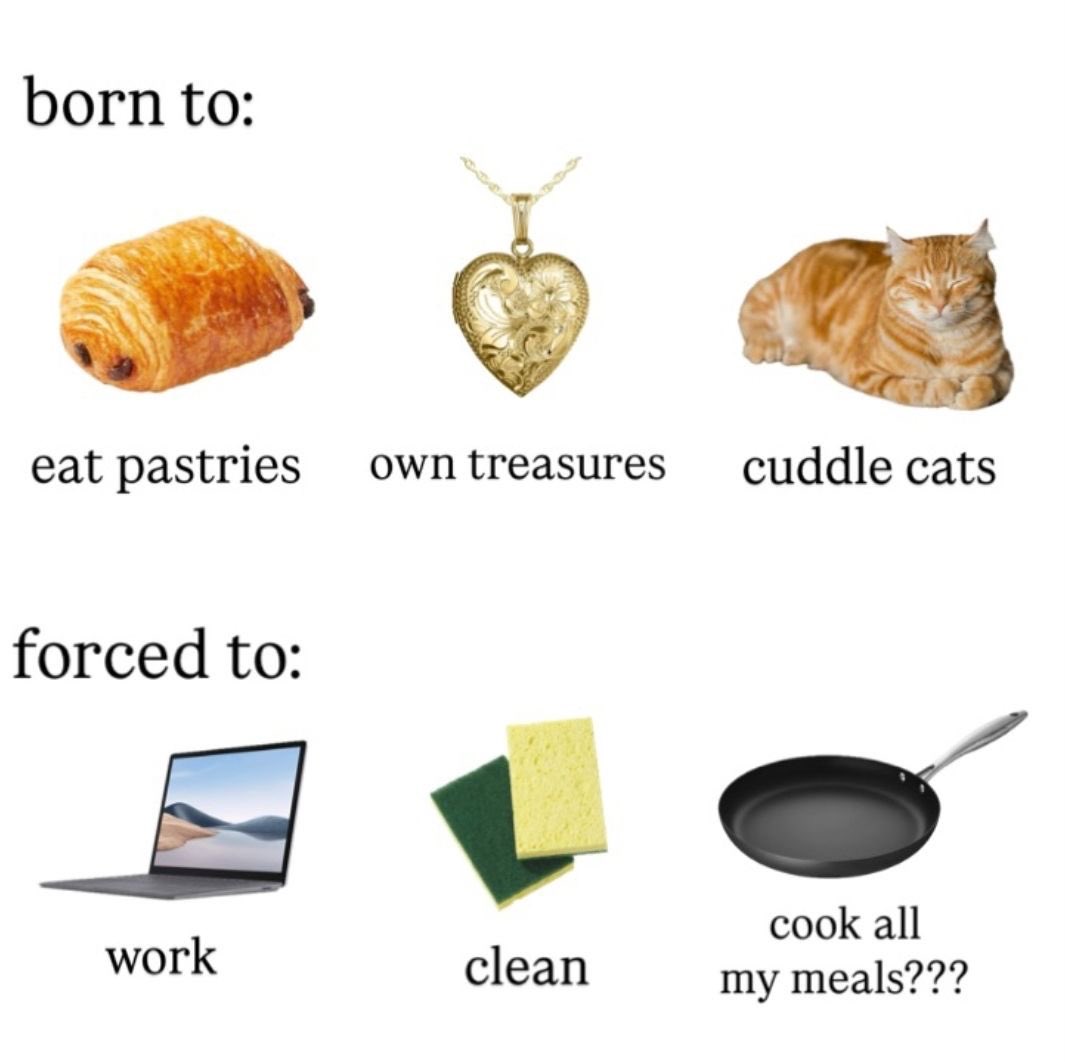 astralbaes's tweet image. 