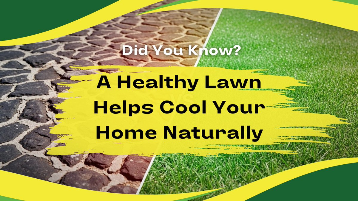 simplygreen_DE's tweet image. Don’t wait for heat to damage your lawn. Strengthen your roots now for a greener and cooler yard this season.
Get expert help today: simplygreengrass.com

#SimplyGreenGrass #KeepItSimple