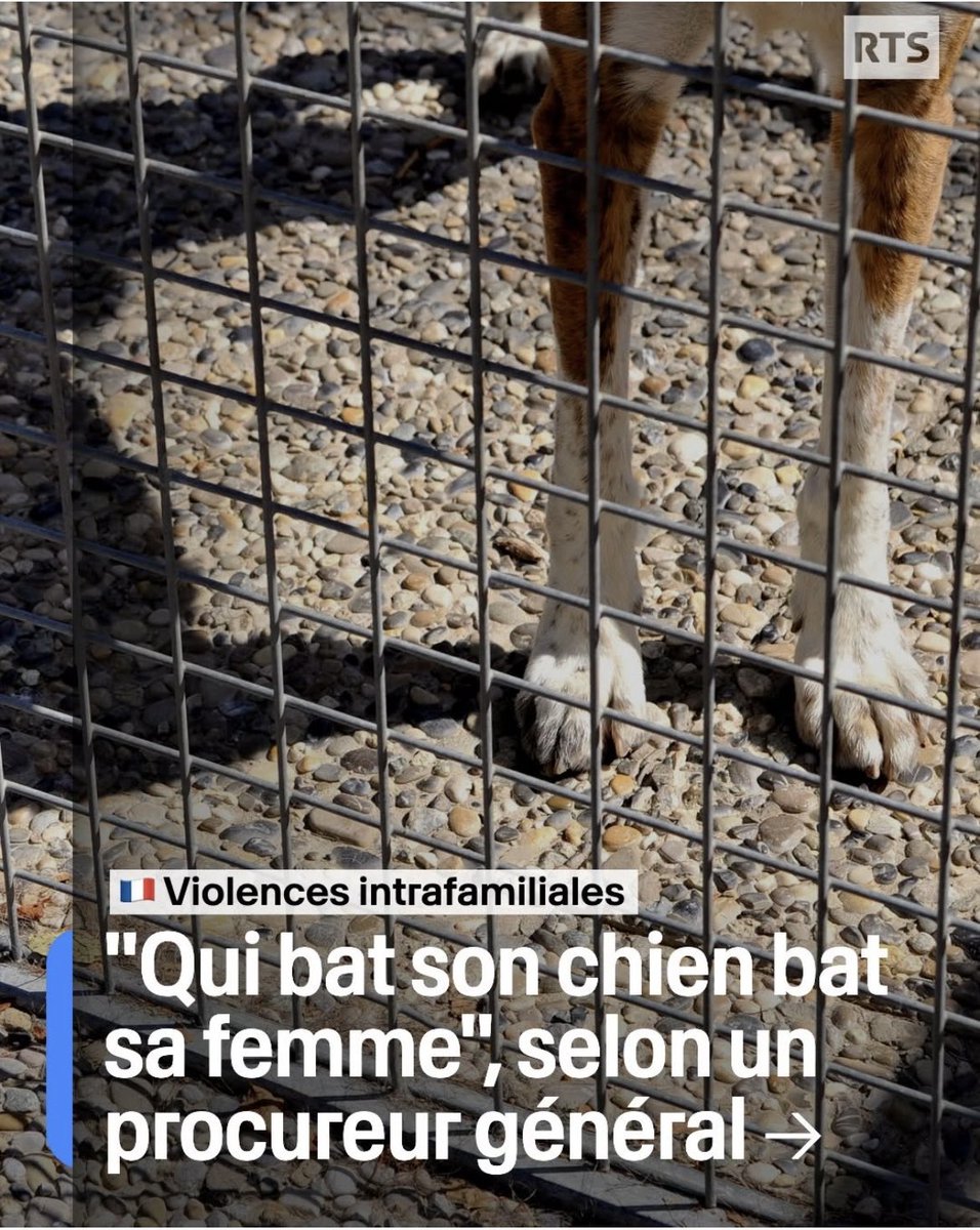 la_justiciere_'s tweet image. Je salue les #propos et l’investissement du #Procureur Général près de la Cour d’appel d’ #Aixenprovence Franck Rastoul à propos de la #maltraitance #animale qui révèle très souvent des #violences intra #familiales . 1 homme plein de sagesse. C’est la #Justice que l’on aime ❤️