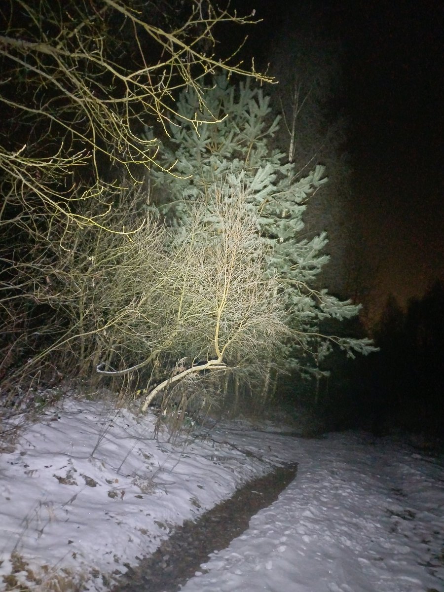 Miaquirele's tweet photo. Dziś w terenie zebrałam nowe nagrania terenowe. W moim mieście śniegu nie ma, ale na wyższej wysokości pokrywa śnieżna już występuje, a temperatura po zmroku szybko spada https://t.co/0fRfO97zrN