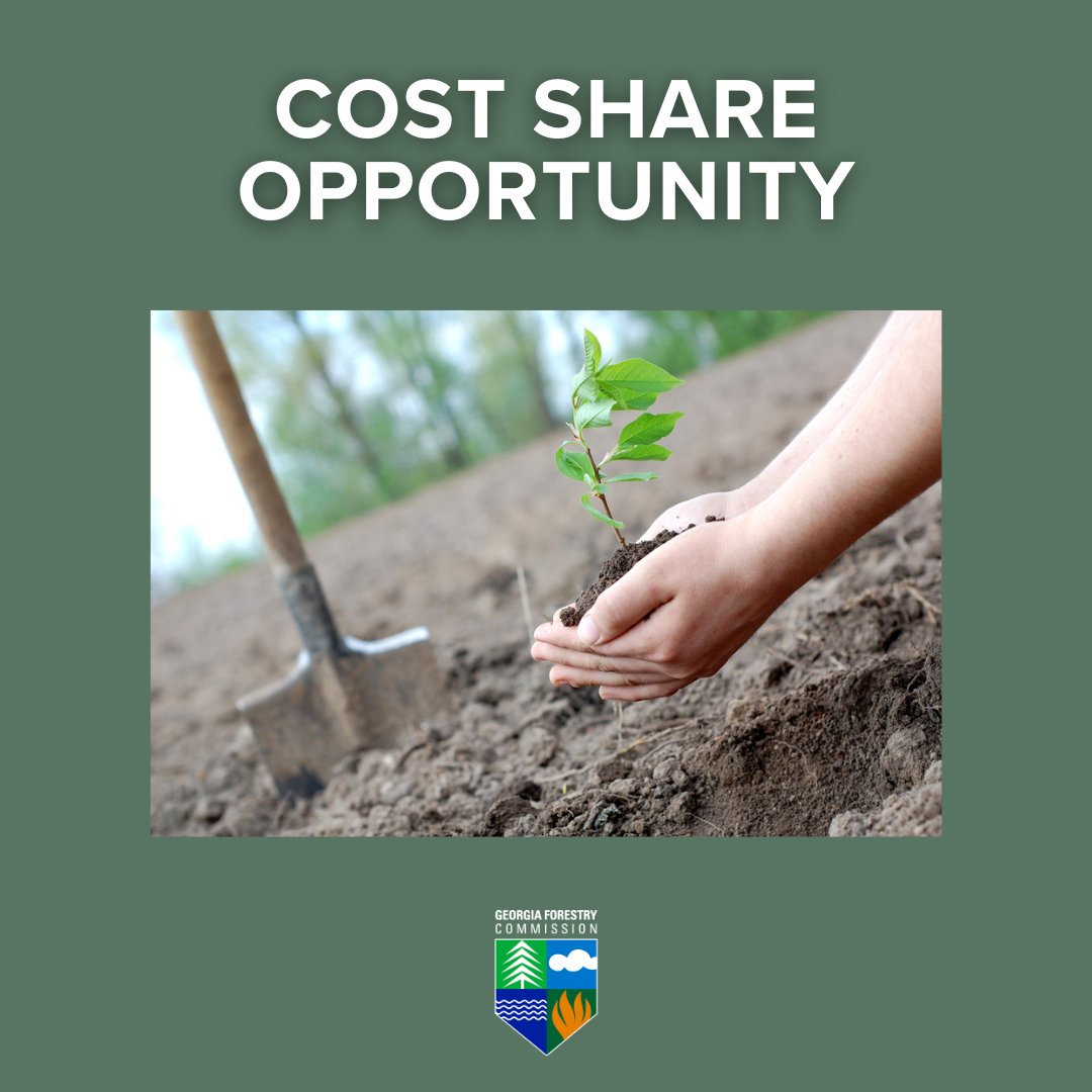 GaTrees's tweet image. Don&apos;t forget to sign up for the Arbor Day Foundation&apos;s Georgia Tree Planting Program! The Arbor Day Foundation is providing funding to help Georgia landowners with #tree planting costs. Learn more: ow.ly/kaeP50XpyM5 Sign up by 11/30/25! 🌳🌲