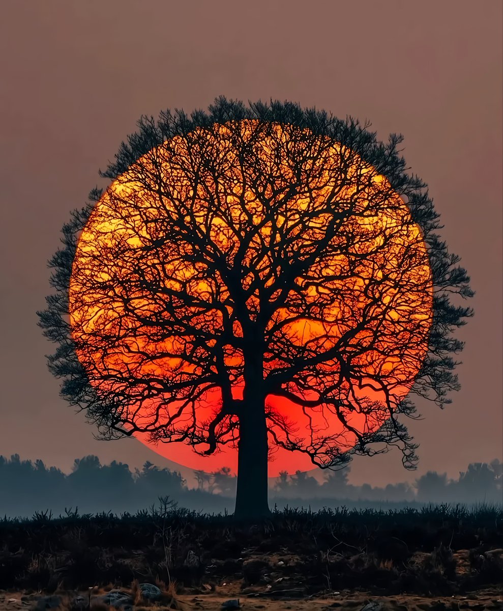 aestheticsguyy's tweet image. The perfect photo