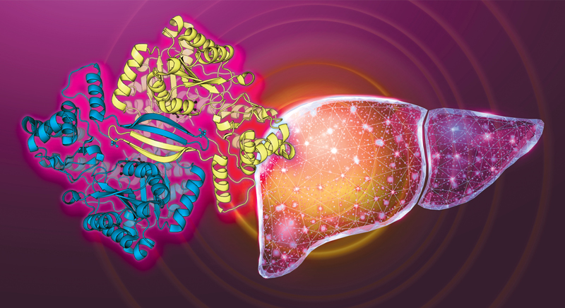 LumidaHealth's tweet image. BIO MARKER TRACKING FOR LONGEVITY

What gets measured gets managed. Regular tracking helps you catch problems early and assess intervention effectiveness.

Key biomarkers: fasting glucose/HbA1c, lipid panel (LDL-P, Apo B), liver enzymes, inflammatory markers (hsCRP), kidney…