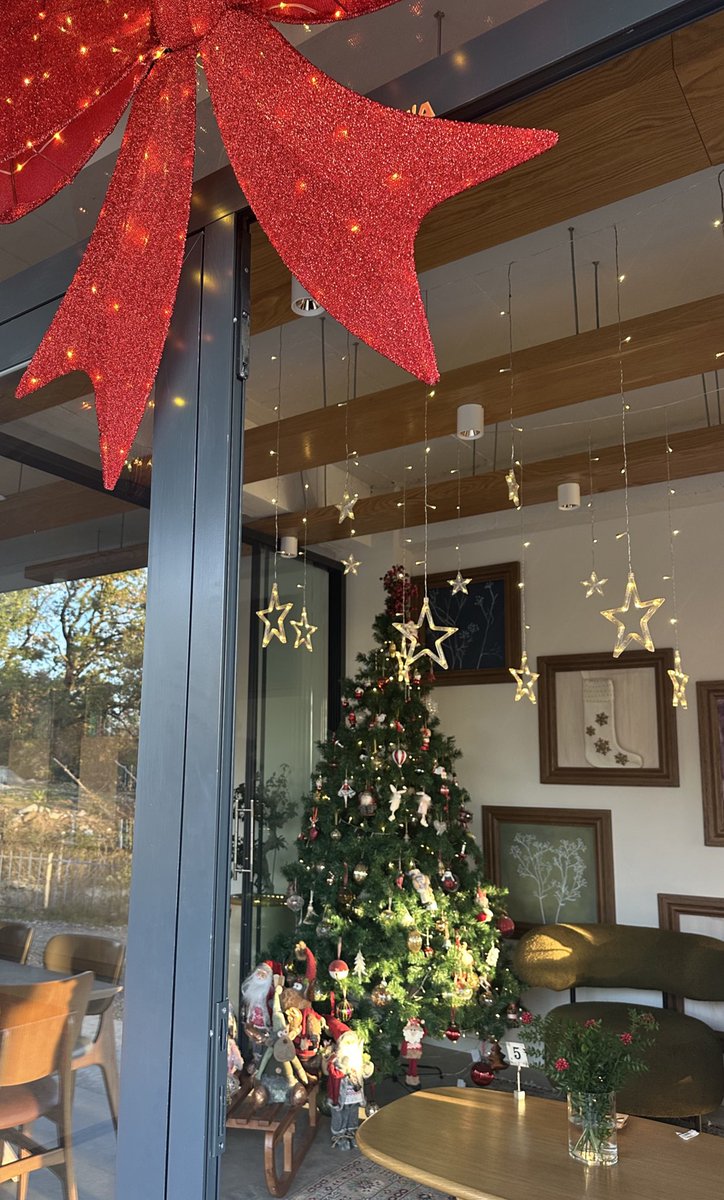 Tüm haftanın yorgunluğunu alan bazı anlar🧘🏼‍♀️