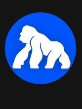 CryptoTinker1's tweet image. 100,000 APE airdrop for tweeting about ApeCoin on Solana?
Yes, its real.
Wallchain&apos;s Project R.A.I.D. turns attention into assets.
The more authentic signal you create bigger your slice. the
Live until Nov 28  dont miss it.

app.wallchain.xyz/apecoin
@wallchain