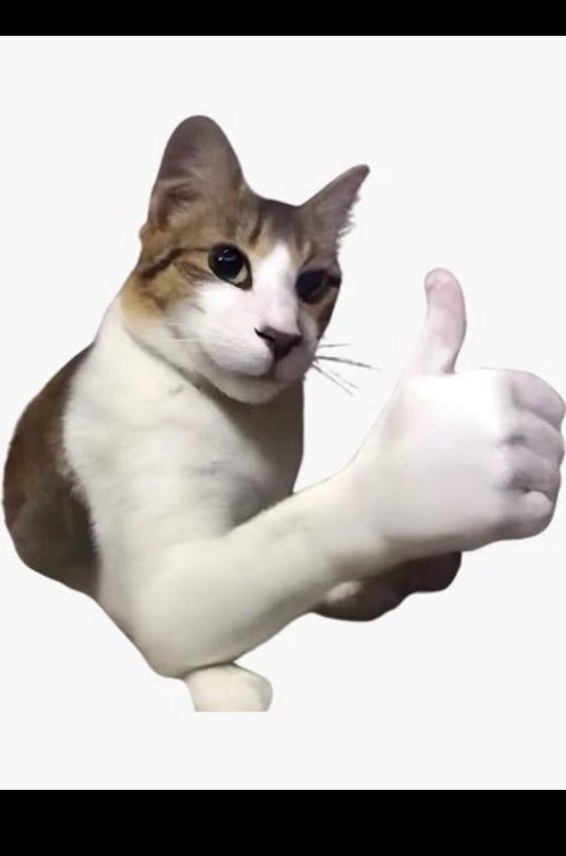 MiceliBrosPizza's tweet photo. @slingoorio I think there's one that's $GOOD https://t.co/jG7wRaad6Z