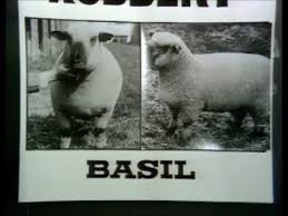 dwbell9's tweet image. They even rob banks as well . @JonTrevithick @EricIdle #MontyPython