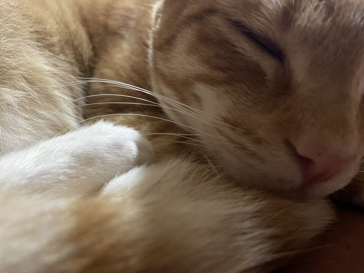 I’m ready for my closeup! 😂