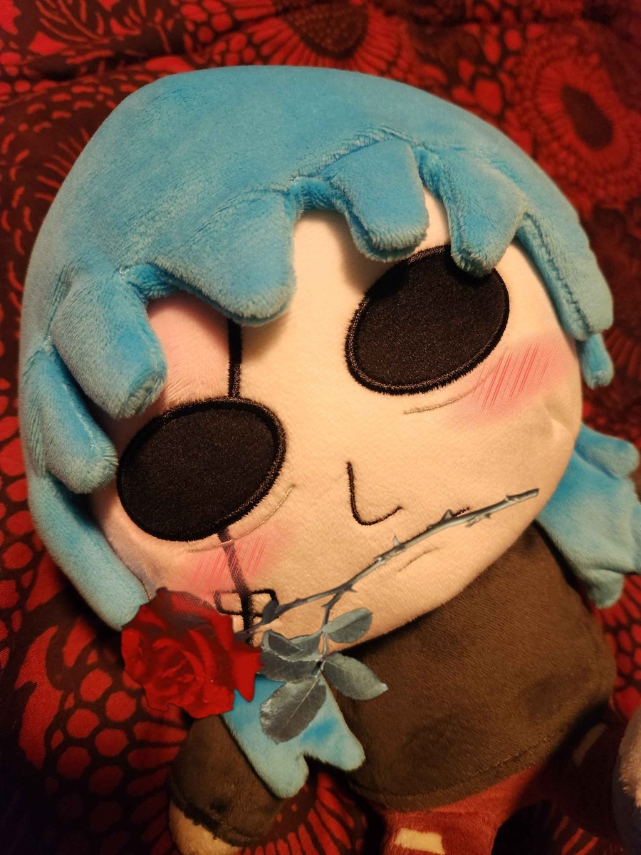 have some more plushie pics 💙
#sallyface